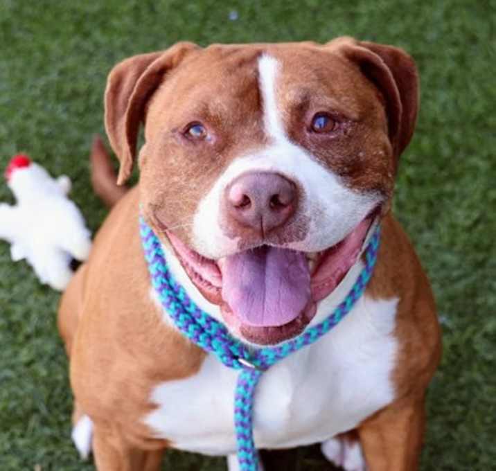 Photo of Tank