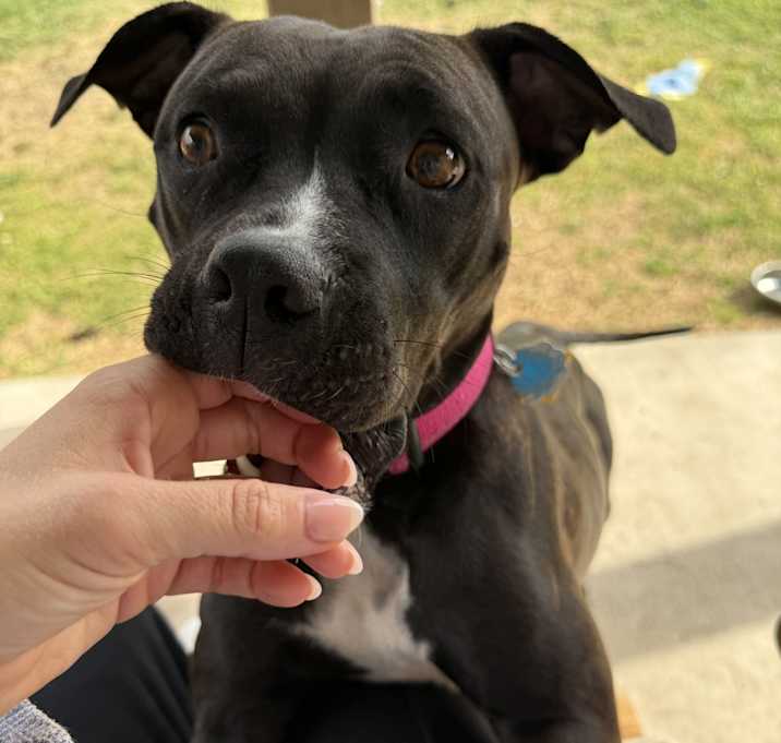 Photo of Mama