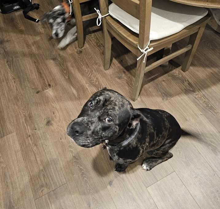 Photo of Storm