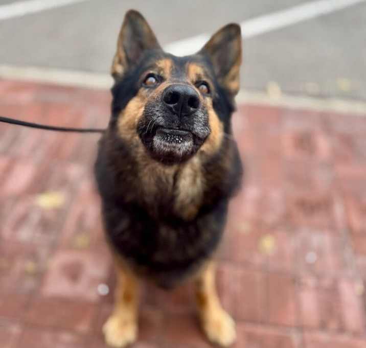 Photo of Thor