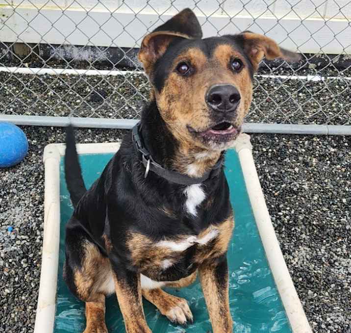 Photo of Ruby Roo