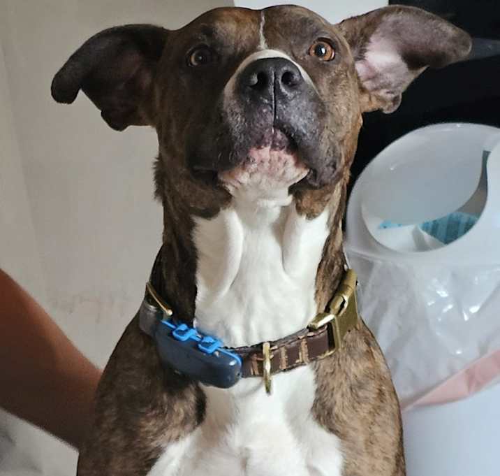 Photo of Lucy