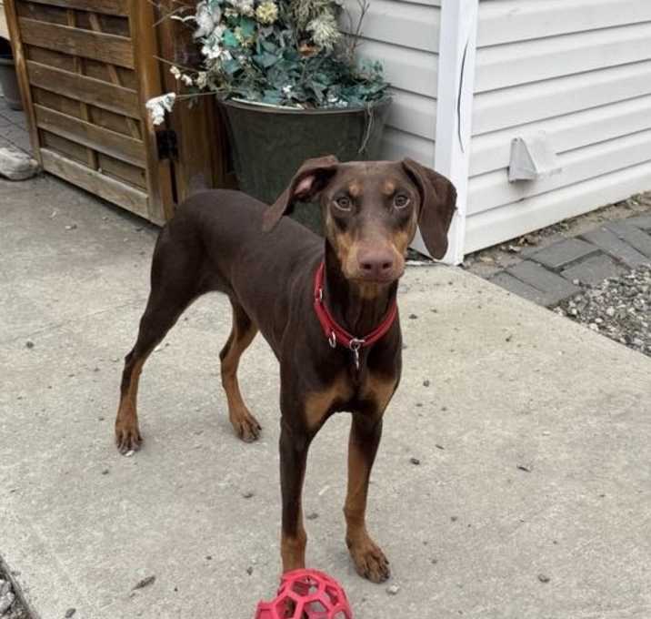 Photo of Thelma