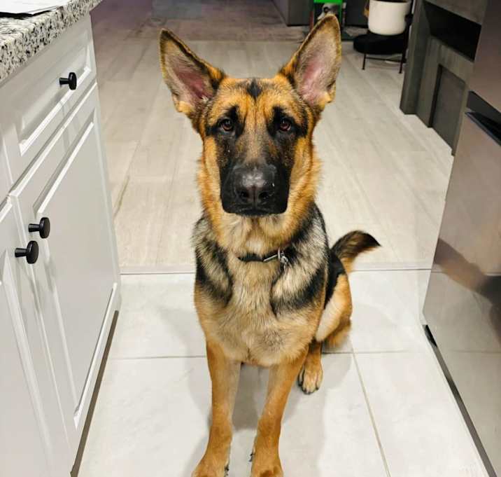 Photo of Sasha
