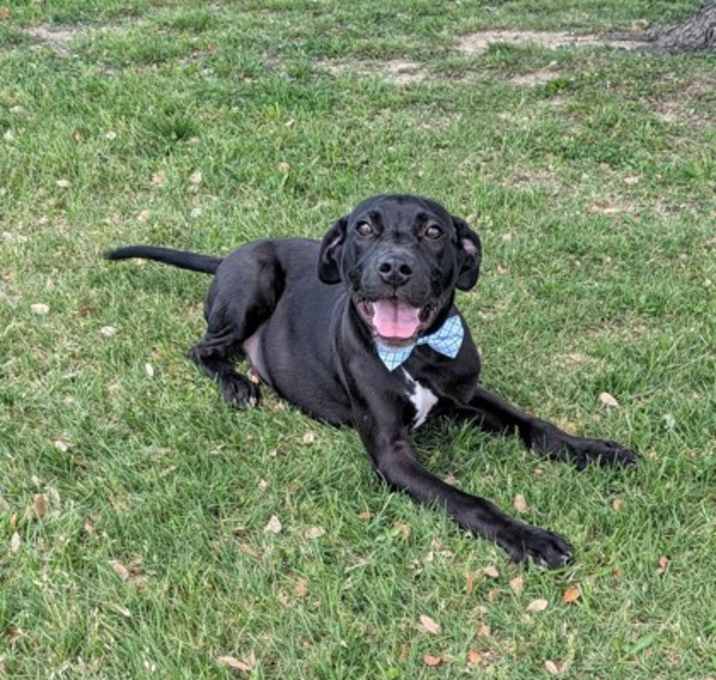 Photo of Kenan