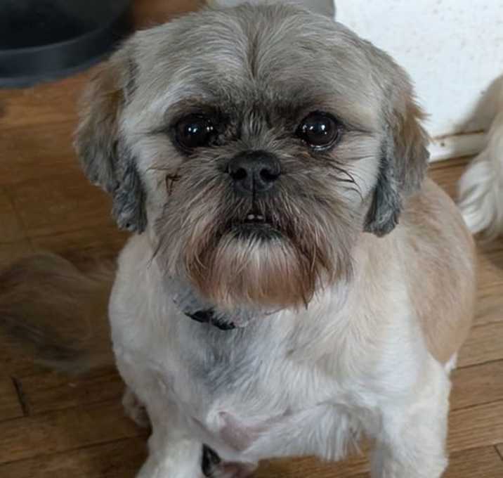Photo of Bella Boo
