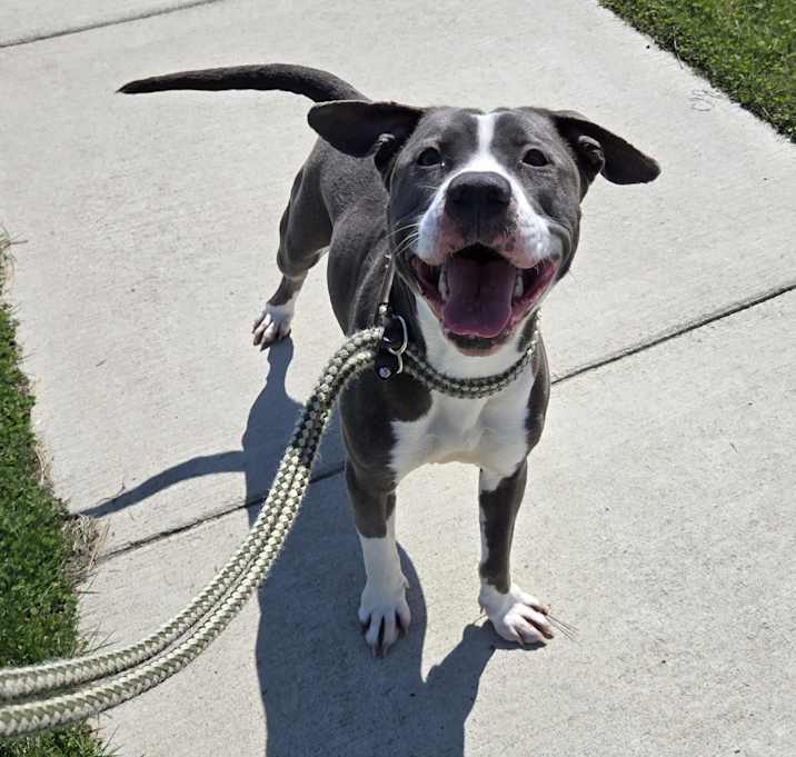Photo of Josie
