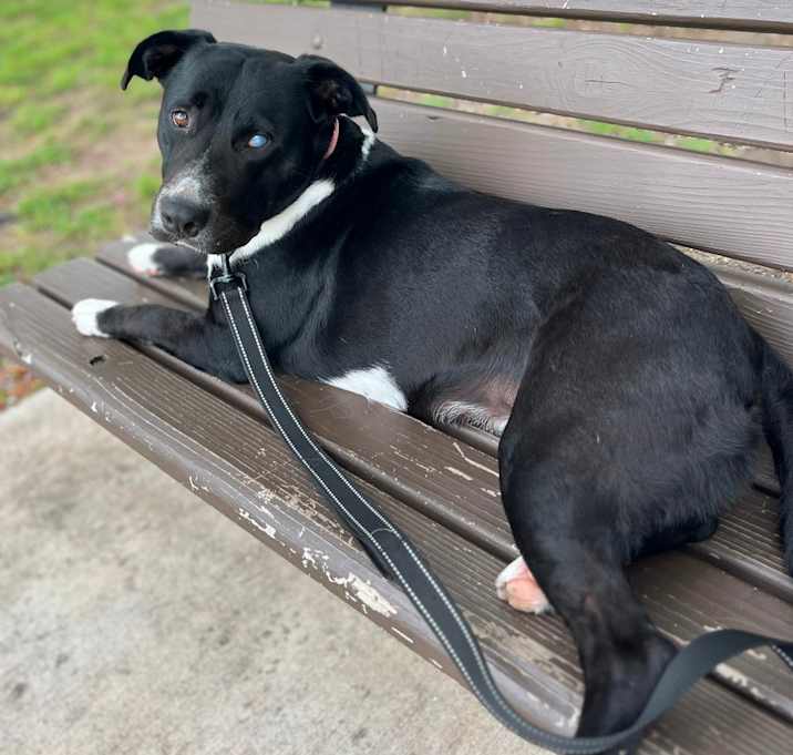 Photo of Lola