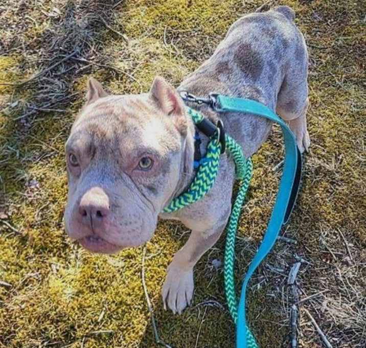 Photo of Wally
