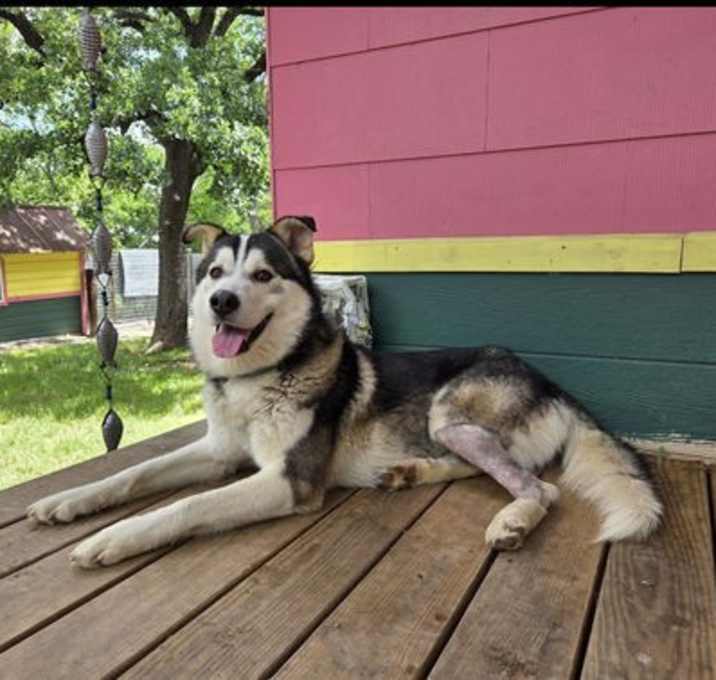 Photo of Oso