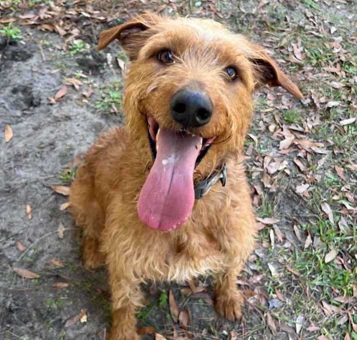 Photo of Milo