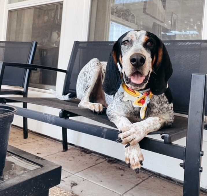 Photo of Cooper