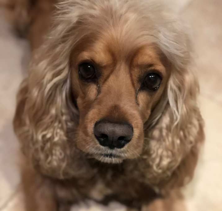 Photo of Bentley