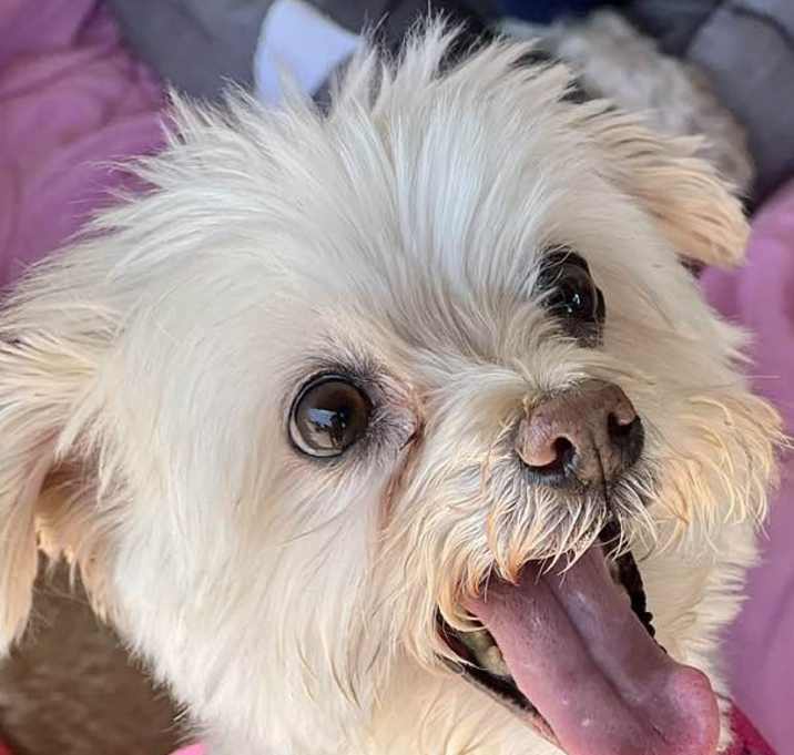 Photo of Mia