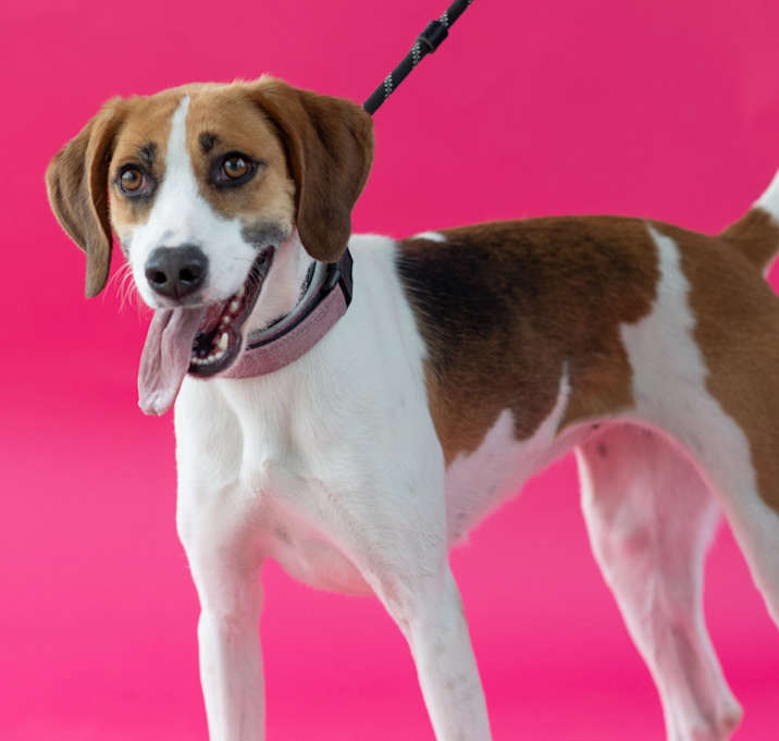 Photo of Darla