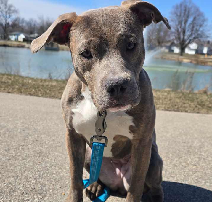 Photo of Mabel