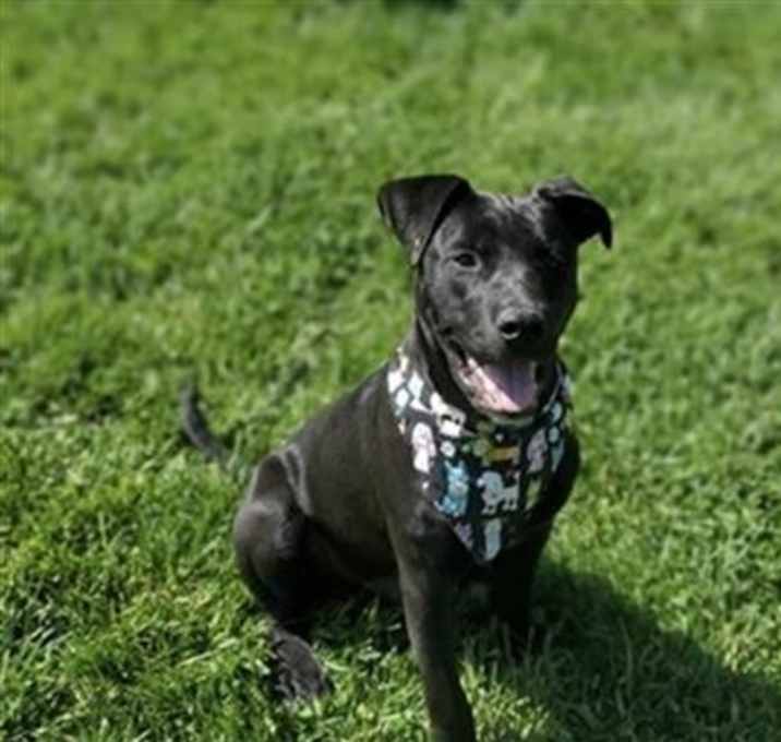 Photo of OTTO
