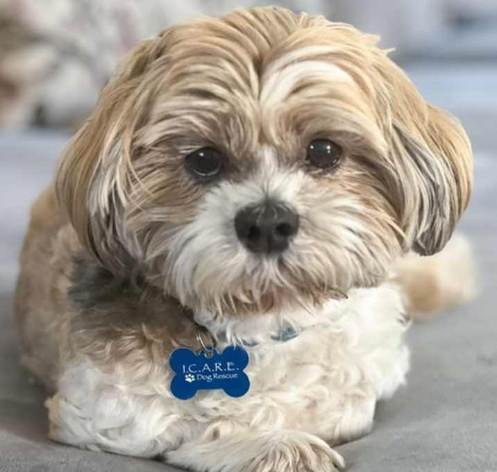 Photo of Coco