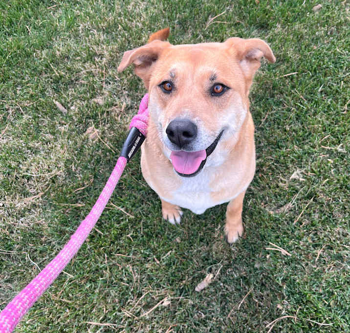 Photo of Nova