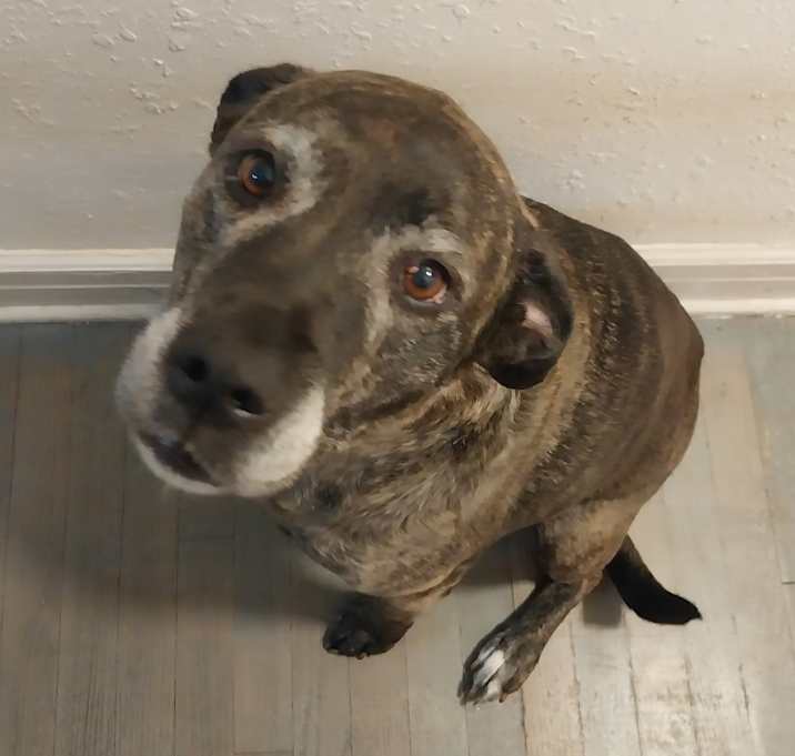 Photo of Lucy