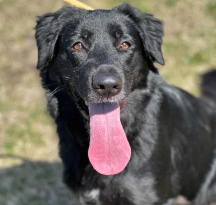Photo of Willow (real name) 006008
