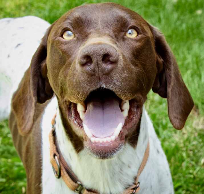 Photo of Charlie