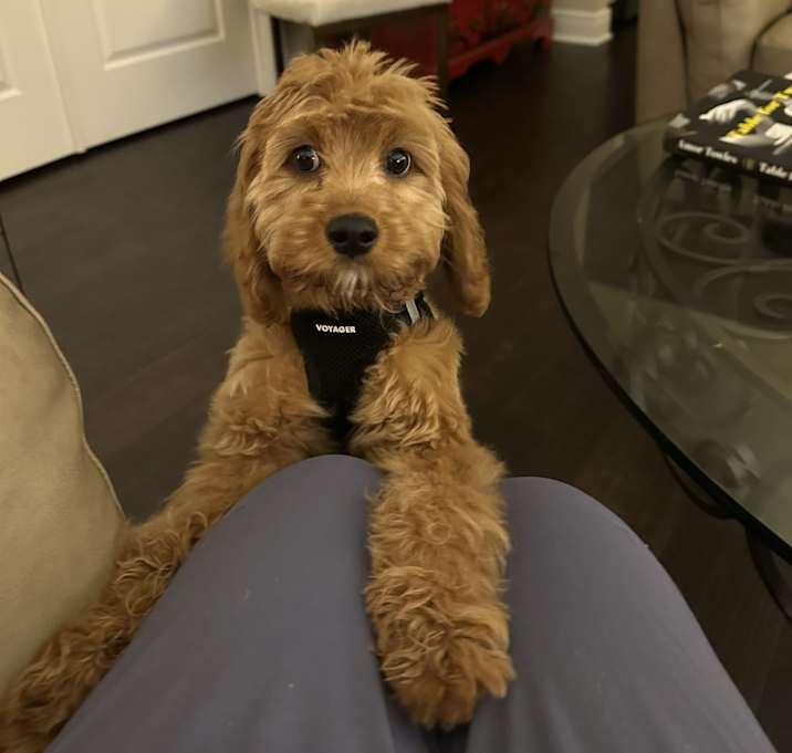 Photo of Rory