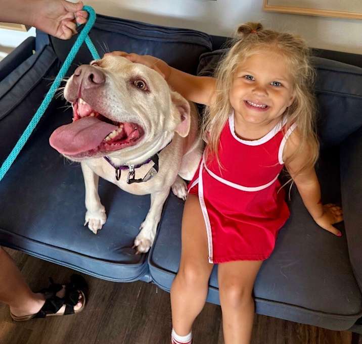 Photo of Daisy Dog the happy Family lab