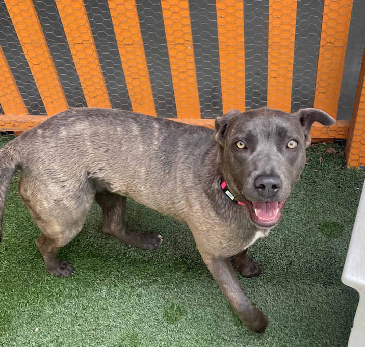 Photo of Laurie A5685726