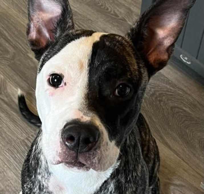 Photo of Marty