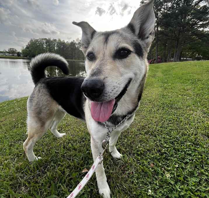 Photo of Ino