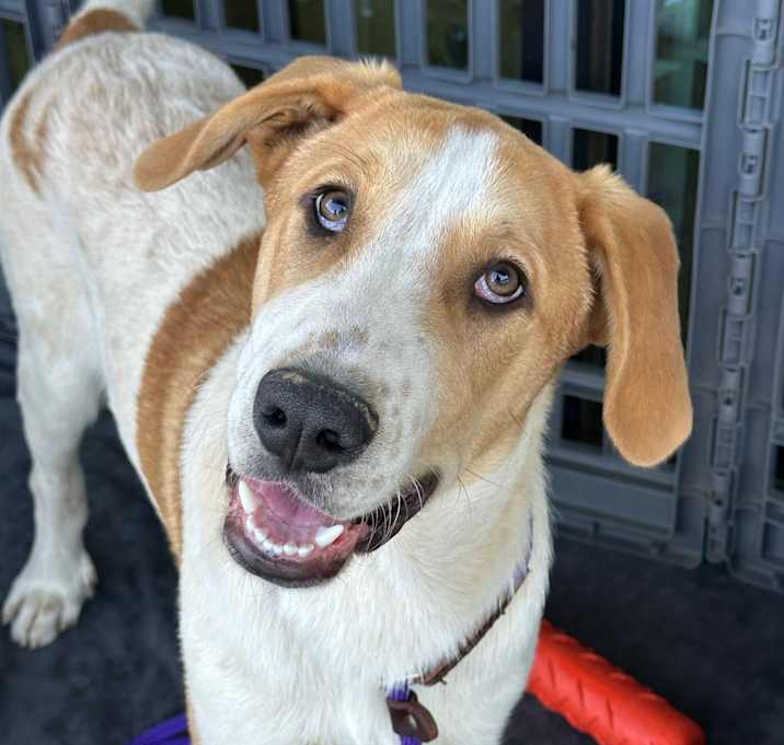 Photo of Baylor