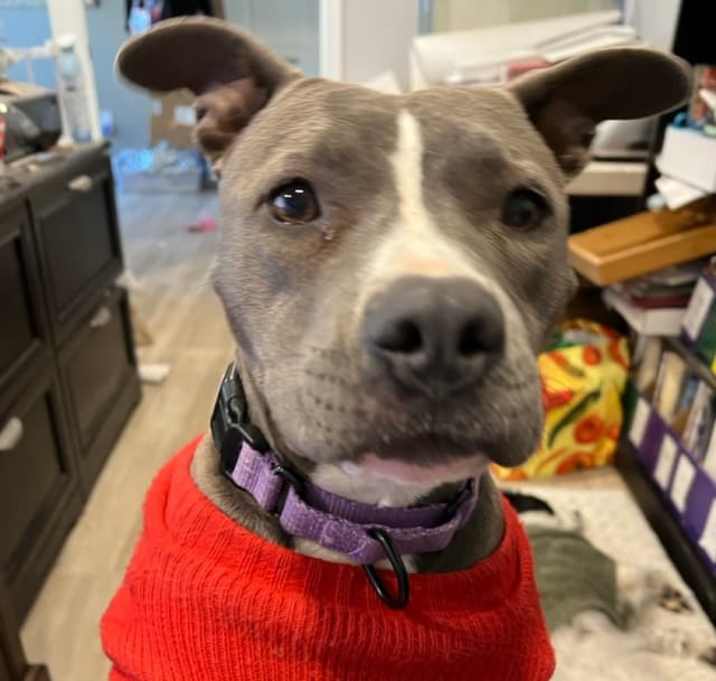 Photo of Sophie