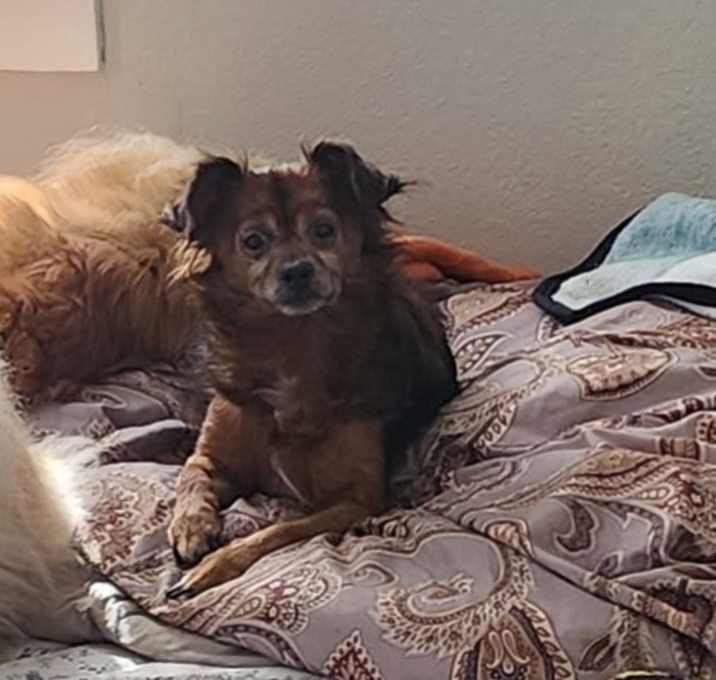 Photo of Essie