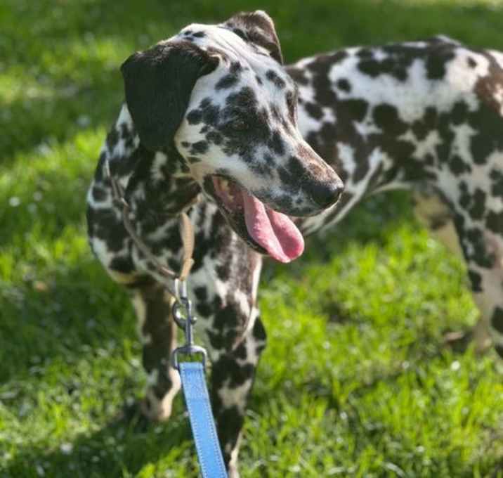 Photo of OLIVE