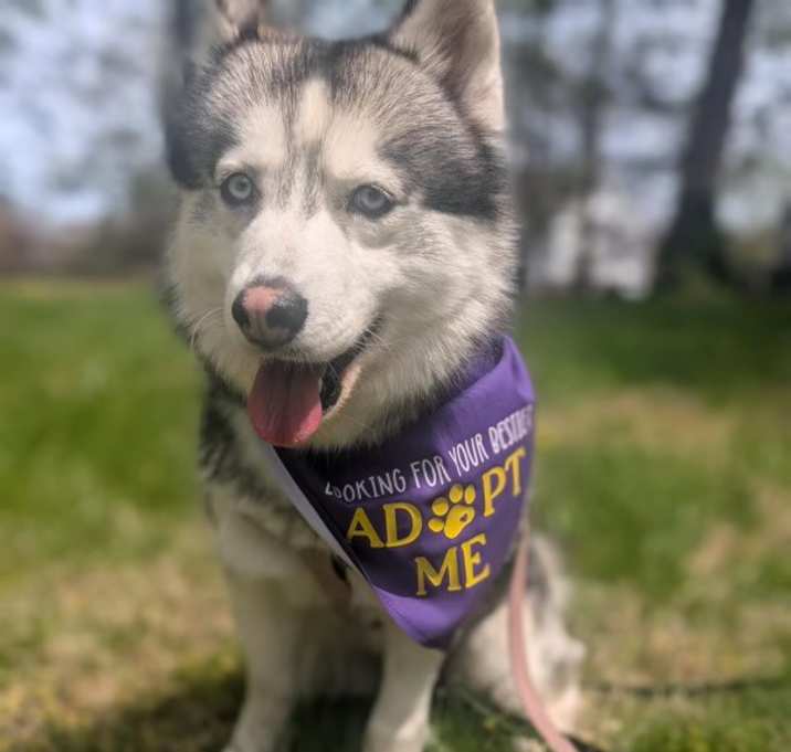 Photo of Jasmine