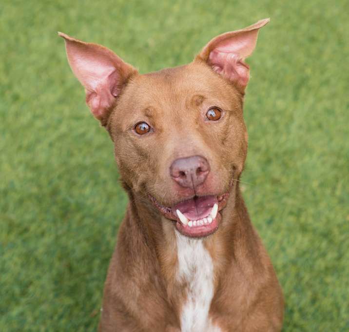 Photo of Gia