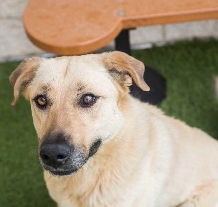 Photo of Topsy