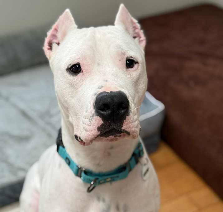 Photo of Stanley