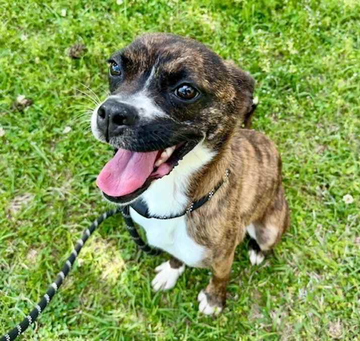 Photo of Nova