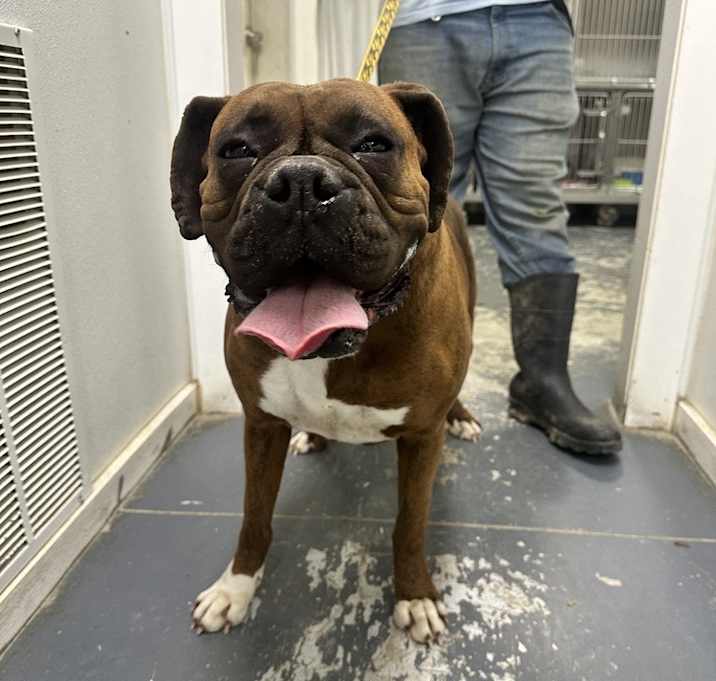Photo of Lucy