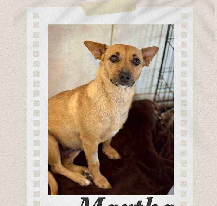 Photo of Martha