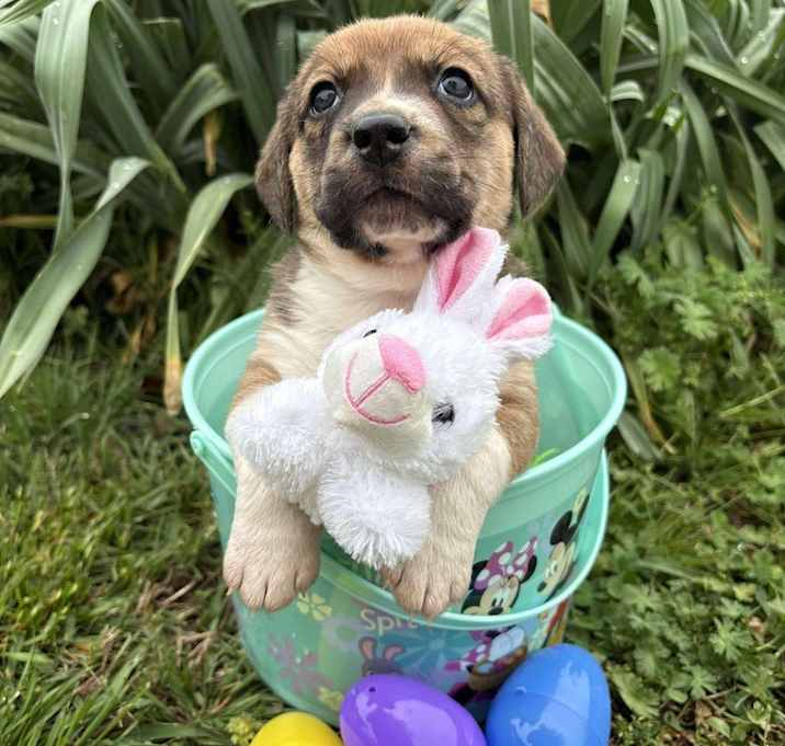 Photo of Finnegan