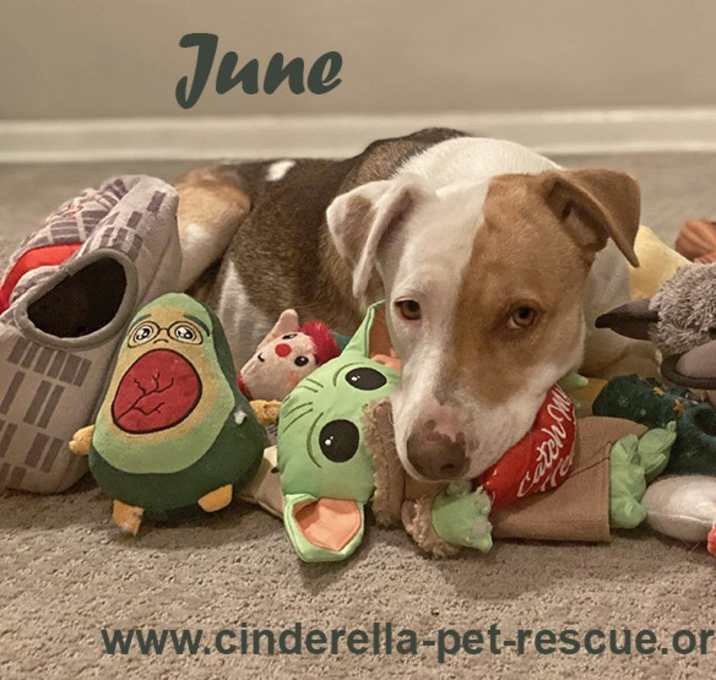 Photo of June