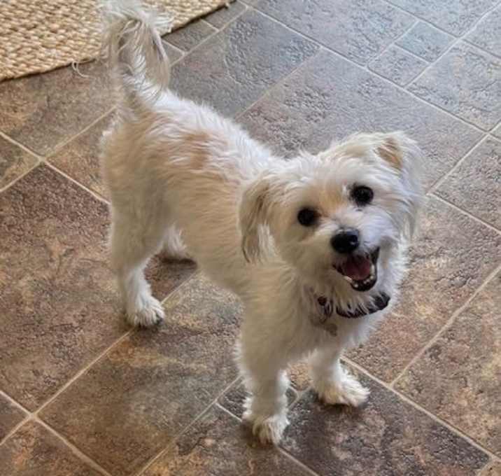 Photo of A Bruno