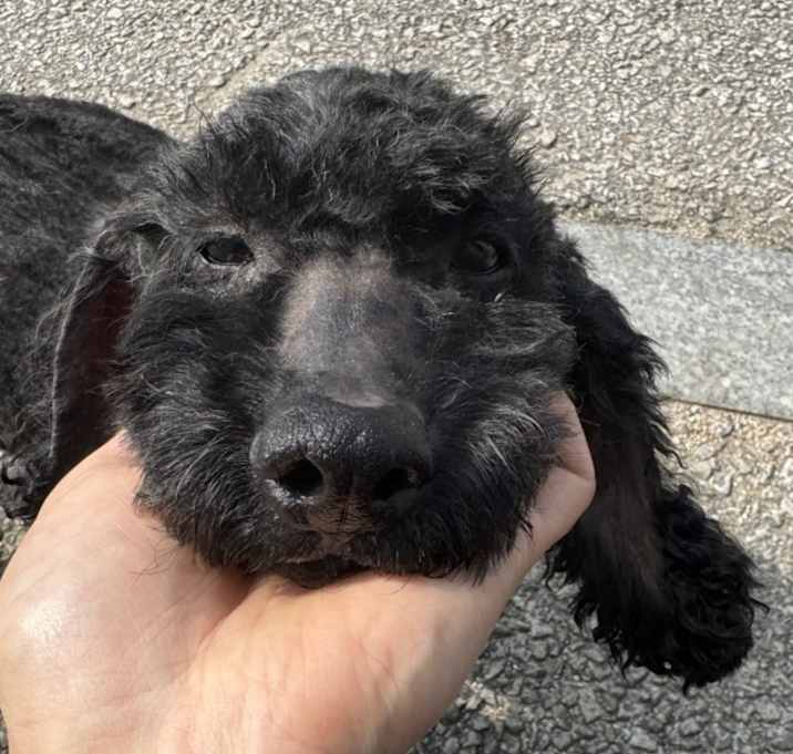 Photo of Bam