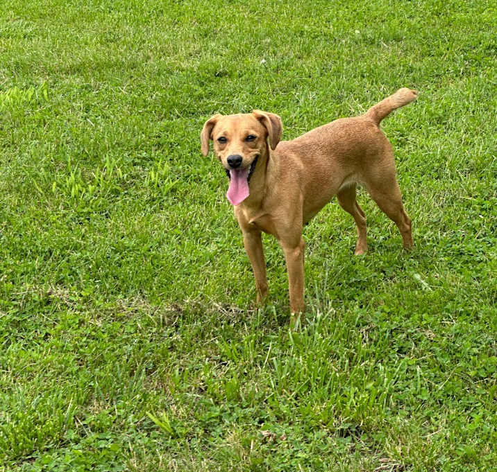 Photo of Molly