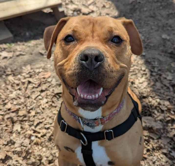 Photo of Sweet Sammi