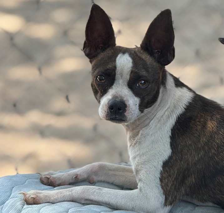 Photo of Lil Girl