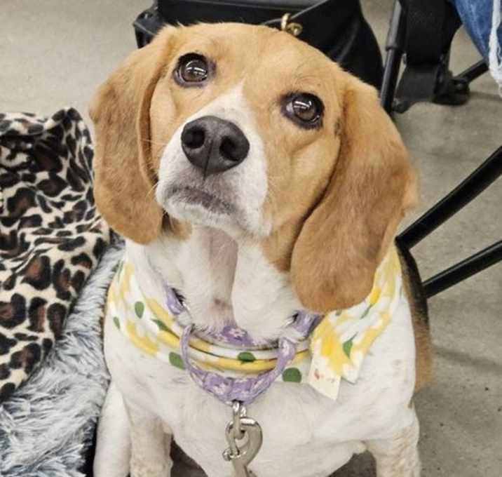 Photo of Daisy Lou